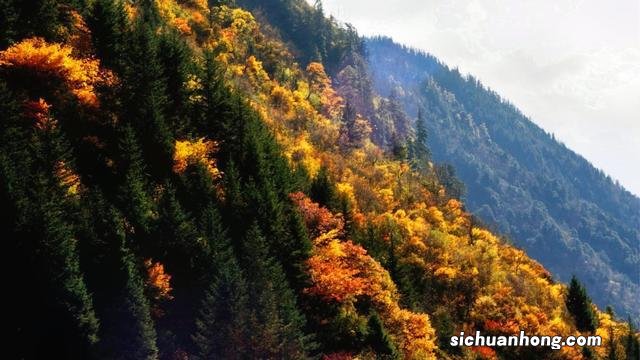 遗落在川西的人间仙境—凉台沟