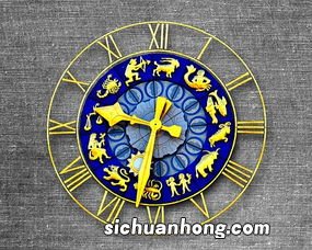 2月19日是双鱼还是水瓶