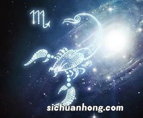 天蝎座配什么星座