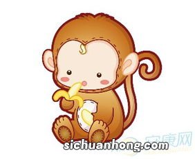 2016年属猴的是什么命