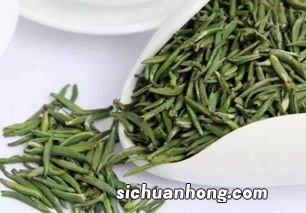 雀舌茶怎么泡