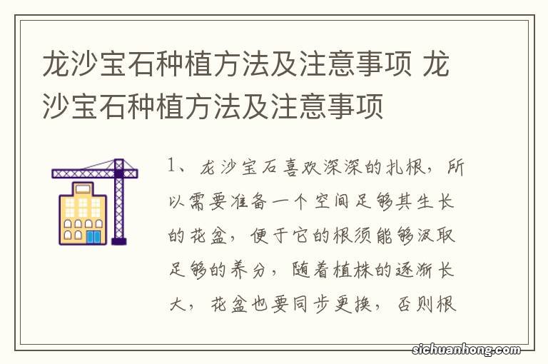 龙沙宝石种植方法及注意事项 龙沙宝石种植方法及注意事项