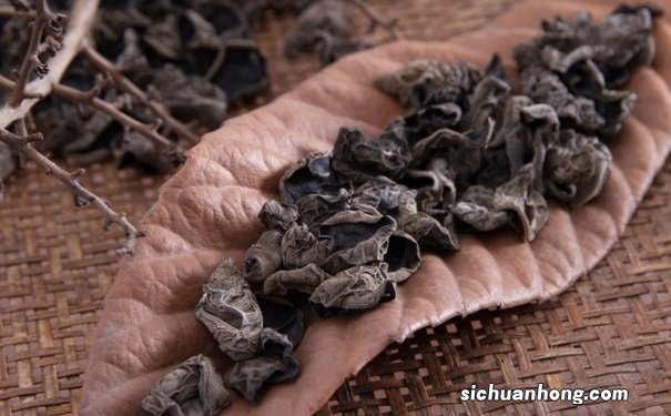 哪些新鲜食物容易导致中毒?要慎吃的新鲜食物有哪些?