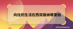 向往的生活在西双版纳哪里拍 向往的生活第四季在哪里拍