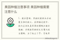 果园种植注意事项 果园种植需要注意什么