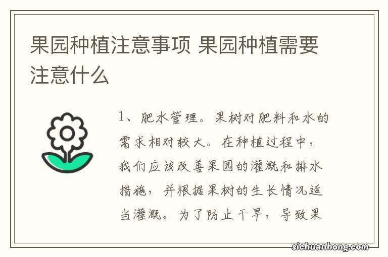 果园种植注意事项 果园种植需要注意什么