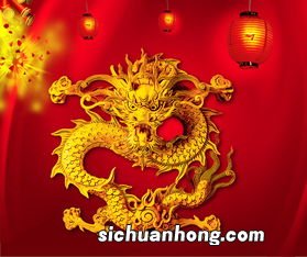 属龙和属狗的合不合