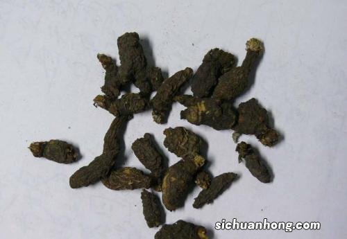 女人梦见好多老鼠屎是什么意思
