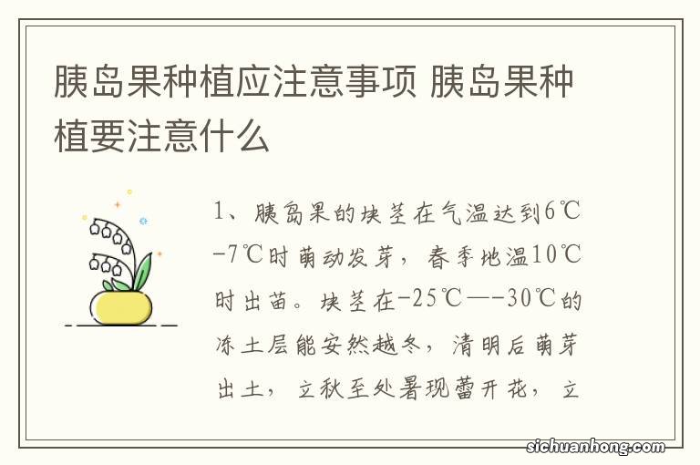 胰岛果种植应注意事项 胰岛果种植要注意什么