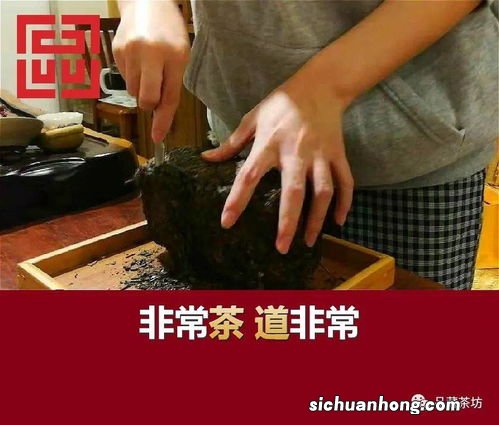 藏茶怎么泡视频