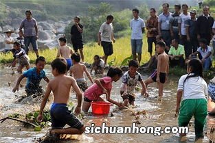 孕妇梦到抓鱼是什么意思