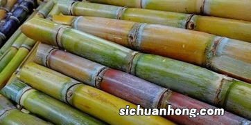 梦见吃甘蔗是什么意思