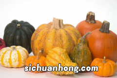 人体排毒常吃什么食物好?哪些食物是身体排毒高手?