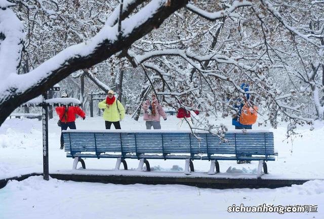 瑞雪罩长春 赏雪、玩雪成为最美一景