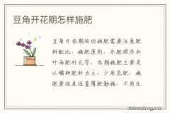 豆角开花期怎样施肥