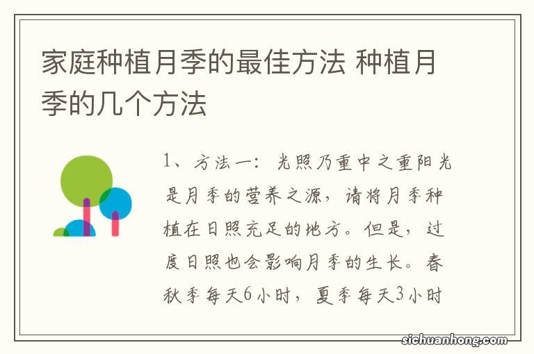 家庭种植月季的最佳方法 种植月季的几个方法