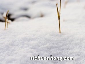 做梦梦到雪是什么意思