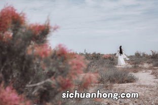梦见桥断了有什么预兆