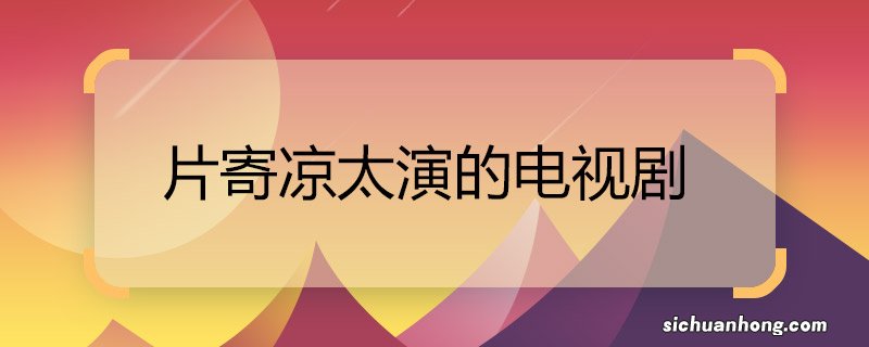 片寄凉太演的电视剧 片寄凉太演的电视剧有哪些