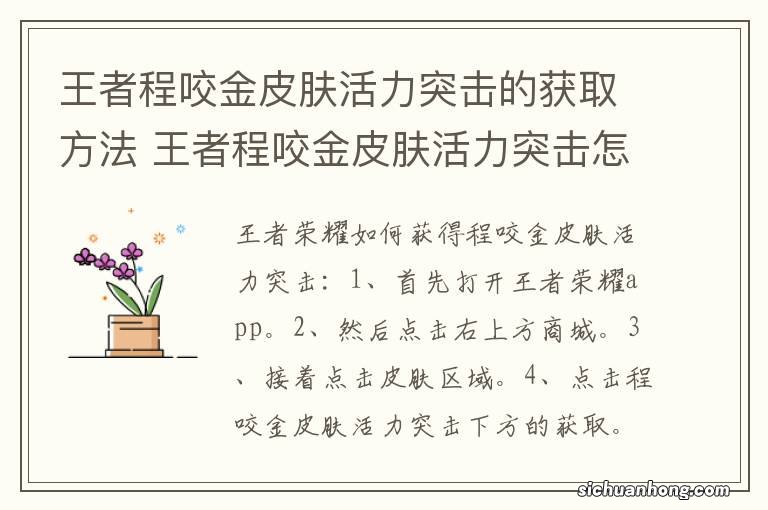 王者程咬金皮肤活力突击的获取方法 王者程咬金皮肤活力突击怎么获取