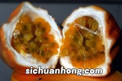 女性吃乌鸡有什么好处?乌鸡汤怎么喝才好?