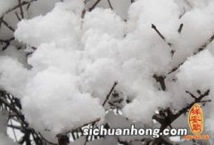 孕妇梦见地上很厚的雪什么意思