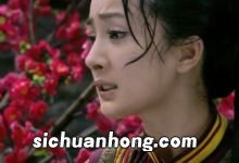 爱的供养是哪部电视剧的主题曲哪部电视剧的主题曲是爱的供养