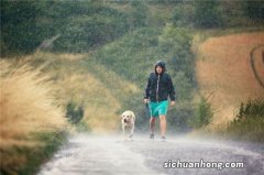 女人梦见下大雨被淋湿什么意思