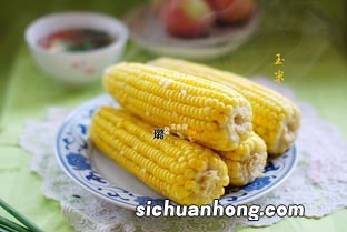 煮玉米得煮多久能熟
