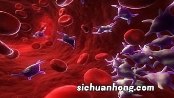 什么药清理血液垃圾