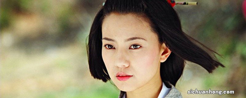 天下第一大结局 电视剧天下第一结局是什么