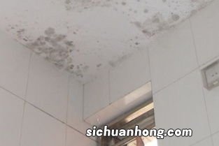 梦见扫屋顶和墙上灰尘什么意思