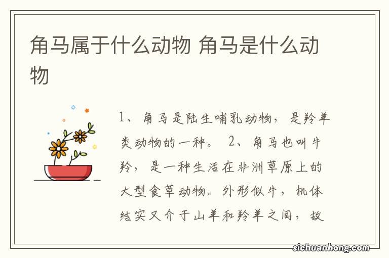 角马属于什么动物 角马是什么动物