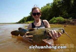 梦见别人都在抓鱼特别大什么意思