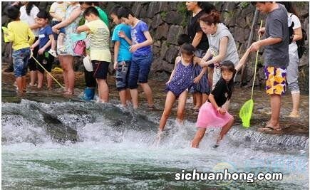 梦见看别人在水里抓鱼什么意思