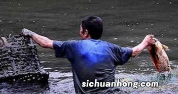 梦见看别人在水里抓鱼什么意思