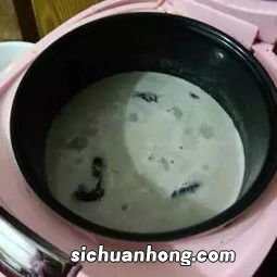 薏米加红枣煮多久