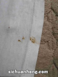 女人梦见衣服沾屎