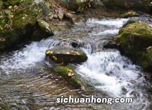 梦见溪水流淌什么意思