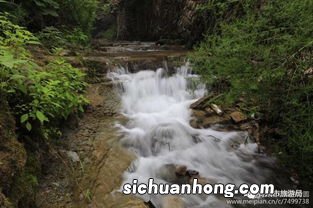 梦见溪水流淌什么意思