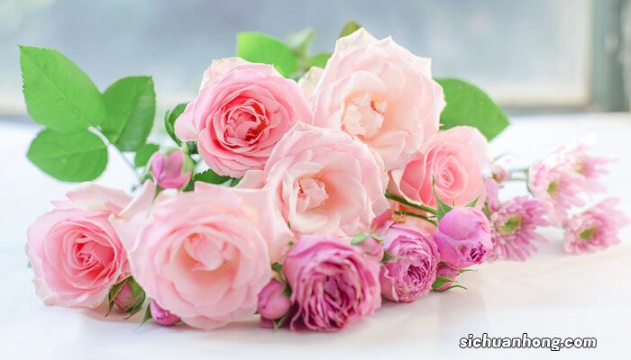 19朵红玫瑰花语是什么意思 19朵红玫瑰花语是什么