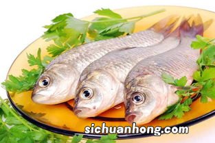 什么鱼的刺不多