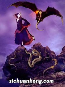 女人梦见一条大蛇