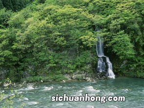 梦见水流