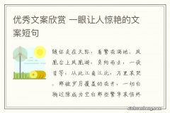 优秀文案欣赏 一眼让人惊艳的文案短句