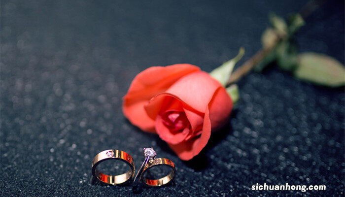 19支玫瑰代表什么意义 19支玫瑰代表什么