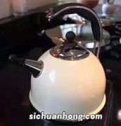 水壶里的茶垢怎么去除