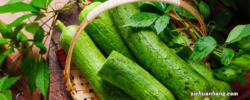 丝瓜不开花什么原因没有瓜藤 丝瓜不开花什么原因