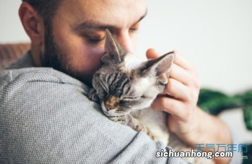 女人梦见猫缠着自己