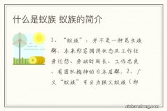 什么是蚁族 蚁族的简介